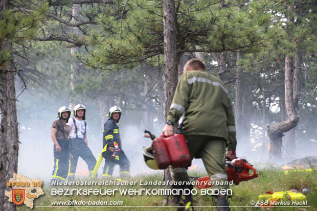 20170624 Waldbrand bei Grillenberg Gemeinde Hernstein  Foto:  ASB Markus Hackl