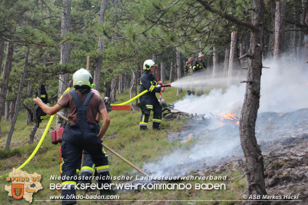 20170624 Waldbrand bei Grillenberg Gemeinde Hernstein  Foto:  ASB Markus Hackl