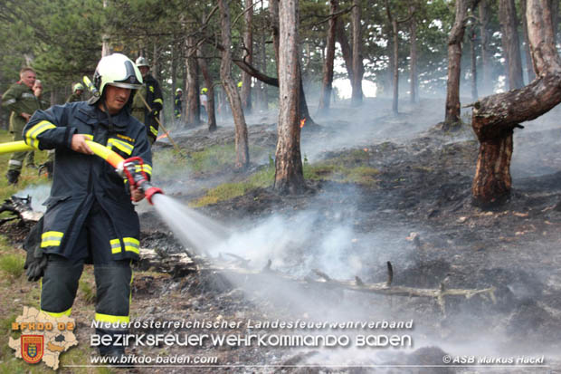 20170624 Waldbrand bei Grillenberg Gemeinde Hernstein  Foto:  ASB Markus Hackl