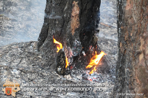 20170624 Waldbrand bei Grillenberg Gemeinde Hernstein  Foto:  ASB Markus Hackl