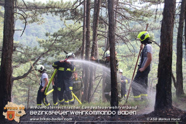 20170624 Waldbrand bei Grillenberg Gemeinde Hernstein  Foto:  ASB Markus Hackl