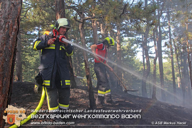 20170624 Waldbrand bei Grillenberg Gemeinde Hernstein  Foto:  ASB Markus Hackl