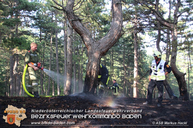 20170624 Waldbrand bei Grillenberg Gemeinde Hernstein  Foto:  ASB Markus Hackl