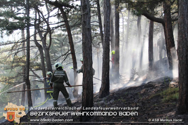 20170624 Waldbrand bei Grillenberg Gemeinde Hernstein  Foto:  ASB Markus Hackl