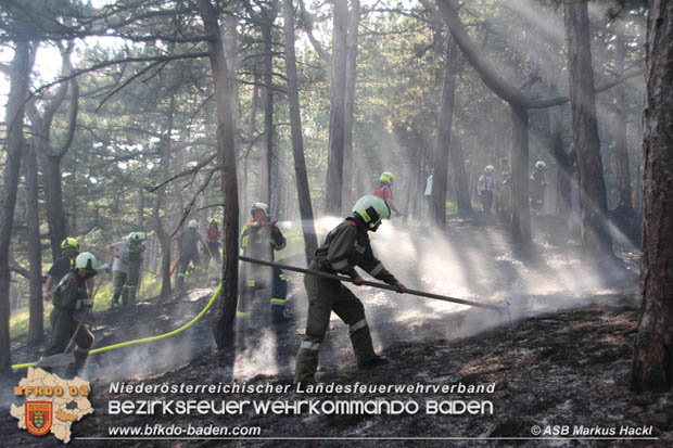 20170624 Waldbrand bei Grillenberg Gemeinde Hernstein  Foto:  ASB Markus Hackl