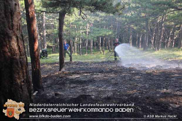 20170624 Waldbrand bei Grillenberg Gemeinde Hernstein  Foto:  ASB Markus Hackl