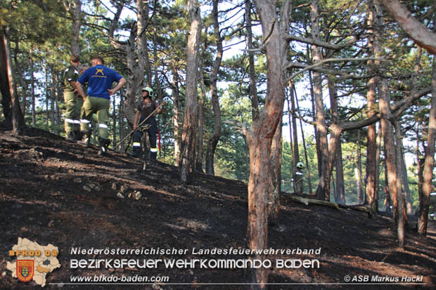 20170624 Waldbrand bei Grillenberg Gemeinde Hernstein  Foto:  ASB Markus Hackl