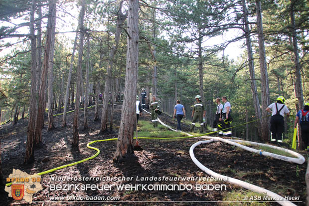 20170624 Waldbrand bei Grillenberg Gemeinde Hernstein  Foto:  ASB Markus Hackl