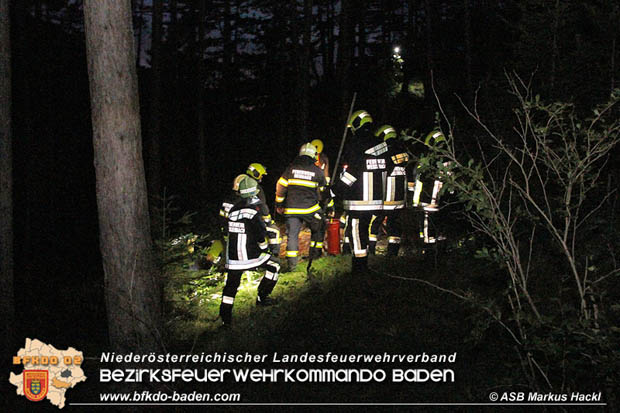 20170702 Leichtsinn eines jungen Mannes lste Waldbrandeinsatz aus in Weissenbach a.d. Triesting Foto:  ASB Markus Hackl