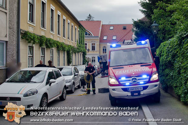 Junger "Stubentiger" verschanzte sich unter Motorhaube eines geparkten Pkws im Stadtzentrum von Baden  Foto:  Freiwillige Feuerwehr Baden-Stadt / Markus Prendinger