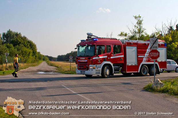 20170808 Flächenbrand im Föhrenwald bei Haschendorf Großmittel Bezirk Wr.Neustadt  Foto: © Stefan Schneider BFK Baden