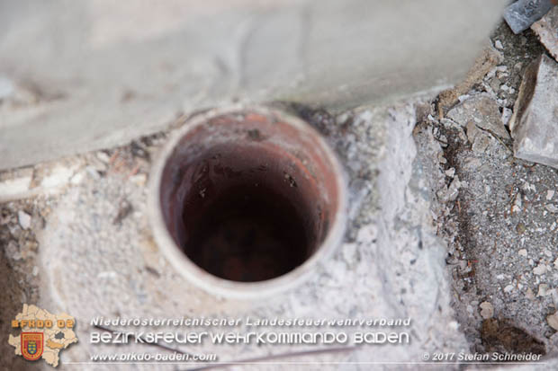 20170912 Babykatze in Günselsdrf aus Regenabflussrohr befreit Foto: © Stefan Schneider BFK Baden 20170912 Babykatze in Günselsdrf aus Regenabflussrohr befreit Foto: © Stefan Schneider BFK Baden