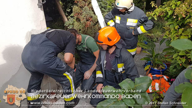 20170912 Babykatze in Günselsdrf aus Regenabflussrohr befreit Foto: © Stefan Schneider BFK Baden 20170912 Babykatze in Günselsdrf aus Regenabflussrohr befreit Foto: © Stefan Schneider BFK Baden