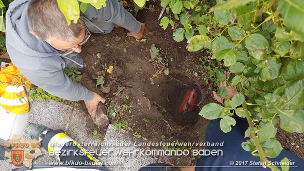 20170912 Babykatze in Günselsdrf aus Regenabflussrohr befreit Foto: © Stefan Schneider BFK Baden 20170912 Babykatze in Günselsdrf aus Regenabflussrohr befreit Foto: © Stefan Schneider BFK Baden