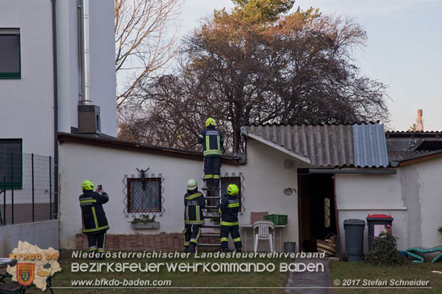 20171207 Katze auf Hausdach in Tribuswinkel  Foto:  Stefan Schneider