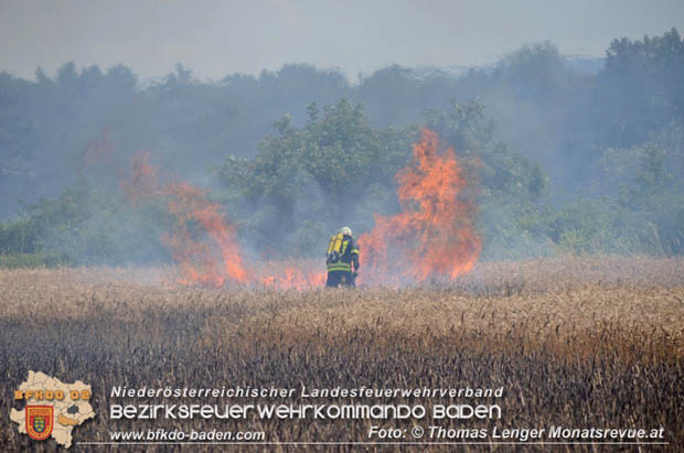20180619 Groer Flurbrand bei Unterwaltersdorf  Foto:  Thomas Lenger Monatsrevue.at
