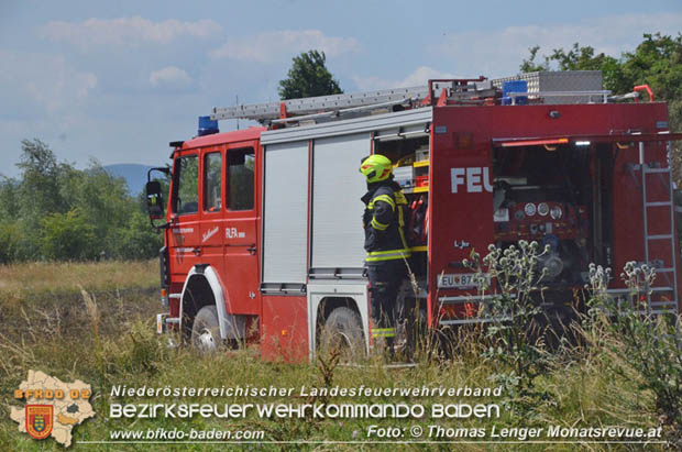 20180619 Groer Flurbrand bei Unterwaltersdorf  Foto:  Thomas Lenger Monatsrevue.at