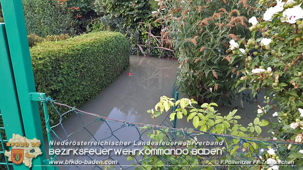 20180809 Kleingartensiedlung in Traiskirchen nach Wasserrohrbruch überflutet Foto: © Franz Pölleritzer FF Traiskirchen-Stadt 20180809 Kleingartensiedlung in Traiskirchen nach Wasserrohrbruch überflutet Foto: © Franz Pölleritzer FF Traiskirchen-Stadt