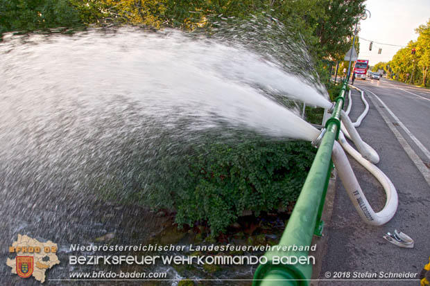 20180809 Kleingartensiedlung in Traiskirchen nach Wasserrohrbruch berflutet  Foto:  Stefan Schneider