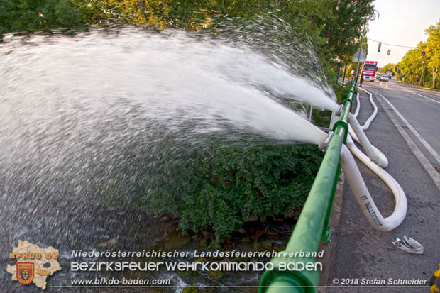 20180809 Kleingartensiedlung in Traiskirchen nach Wasserrohrbruch überflutet Foto: © Stefan Schneider 20180809 Kleingartensiedlung in Traiskirchen nach Wasserrohrbruch überflutet Foto: © Stefan Schneider