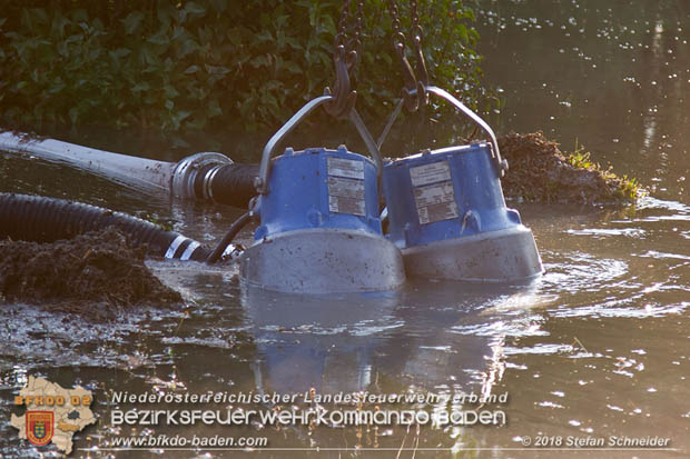 20180809 Kleingartensiedlung in Traiskirchen nach Wasserrohrbruch berflutet  Foto:  Stefan Schneider