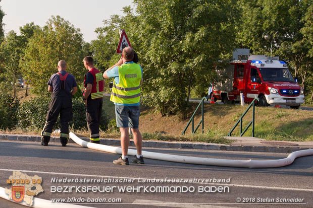 20180809 Kleingartensiedlung in Traiskirchen nach Wasserrohrbruch berflutet Foto:  Stefan Schneider