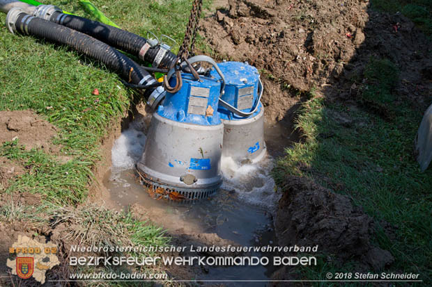 20180809 Kleingartensiedlung in Traiskirchen nach Wasserrohrbruch berflutet Foto:  Stefan Schneider