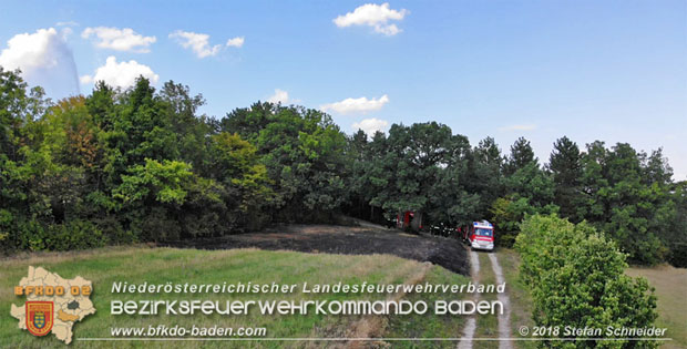 20180819 Ausgedehnter Flurbrand in unmitelbarer Waldnhe bei Lindabrunn Richtung Aigen  Foto:  Stefan Schneider