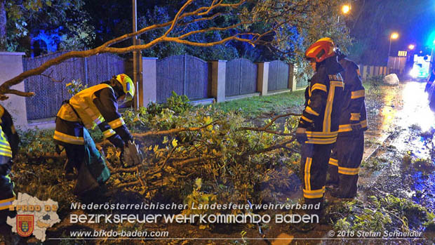 20180924 Sturmtief "Fabiene" sorgte fr einige Feuerwehreinstze im Bezirk Baden  Foto:  Stefan Schneider