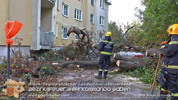 20180924 Sturmtief "Fabiene" sorgte fr einige Feuerwehreinstze im Bezirk Baden  Foto:  Stefan Schneider