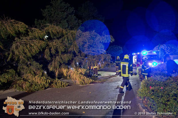 20181024 Sturmtief "Siglinde" ber Kottingbrunn  Foto:  Stefan Schneider