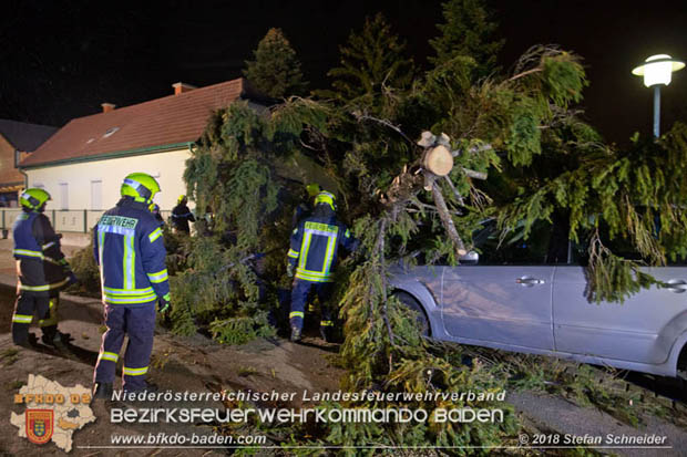 20181024 Sturmtief "Siglinde" ber Kottingbrunn  Foto:  Stefan Schneider