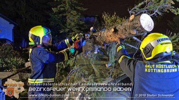 20181024 Sturmtief "Siglinde" ber Kottingbrunn  Foto:  Stefan Schneider