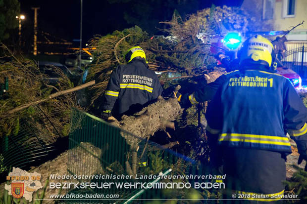 20181024 Sturmtief "Siglinde" ber Kottingbrunn  Foto:  Stefan Schneider