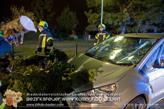 20181024 Sturmtief "Siglinde" ber Kottingbrunn  Foto:  Stefan Schneider