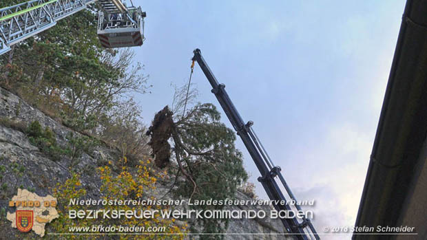 20181024 Sturmtief "Siglinde" ber Baden Stadtteil Weikersdorf  Foto:  Stefan Schneider FF Baden-Stadt