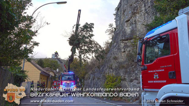 20181024 Sturmtief "Siglinde" ber Baden Stadtteil Weikersdorf  Foto:  Stefan Schneider FF Baden-Stadt