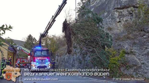 20181024 Sturmtief "Siglinde" ber Baden Stadtteil Weikersdorf  Foto:  Stefan Schneider FF Baden-Stadt