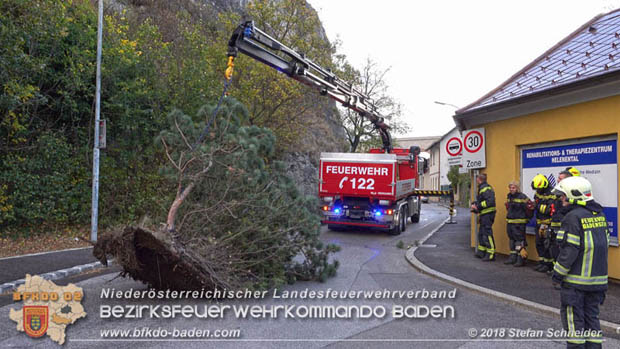 20181024 Sturmtief "Siglinde" ber Baden Stadtteil Weikersdorf  Foto:  Stefan Schneider FF Baden-Stadt