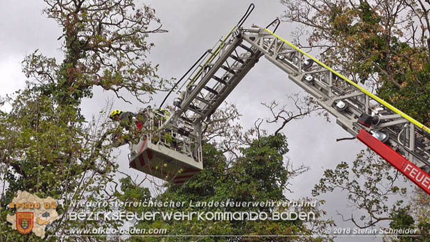 20181024 Sturmtief "Siglinde" ber Baden Stadtteil Weikersdorf  Foto:  Stefan Schneider FF Baden-Stadt