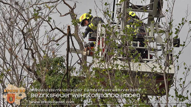 20181024 Sturmtief "Siglinde" ber Baden Stadtteil Weikersdorf  Foto:  Stefan Schneider FF Baden-Stadt