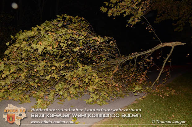 20181024 Sturmtief "Siglinde" über Oberwaltersdorf Foto: © Thomas Lenger 20181024 Sturmtief "Siglinde" über Oberwaltersdorf Foto: © Thomas Lenger