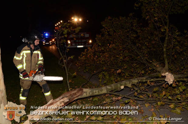 20181024 Sturmtief "Siglinde" ber Oberwaltersdorf  Foto:  Thomas Lenger