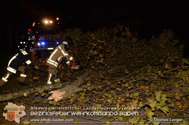 20181024 Sturmtief "Siglinde" ber Oberwaltersdorf  Foto:  Thomas Lenger