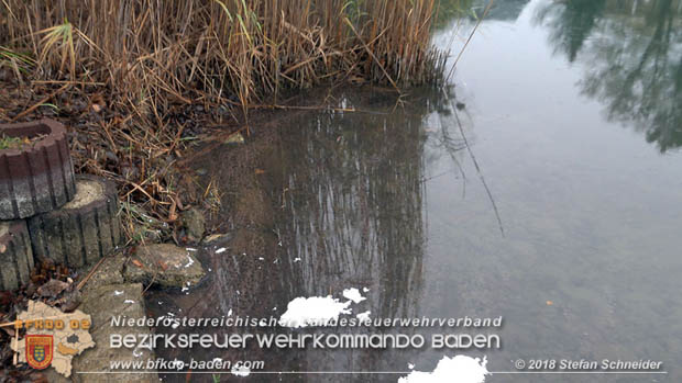 20181120 Kleiner Gewsserschaden auf Teich in der Eigenheimsiedlung Mllersdorf/Guntramsdorf  Foto:  Stefan Schneider BFK BADEN