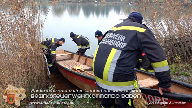 20181120 Kleiner Gewsserschaden auf Teich in der Eigenheimsiedlung Mllersdorf/Guntramsdorf  Foto:  Stefan Schneider BFK BADEN