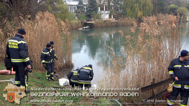 20181120 Kleiner Gewsserschaden auf Teich in der Eigenheimsiedlung Mllersdorf/Guntramsdorf  Foto:  Stefan Schneider BFK BADEN