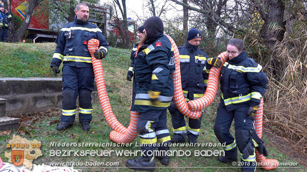 20181120 Kleiner Gewsserschaden auf Teich in der Eigenheimsiedlung Mllersdorf/Guntramsdorf  Foto:  Stefan Schneider BFK BADEN