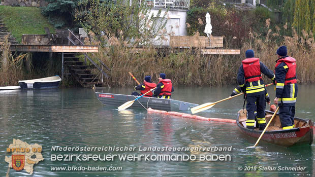 20181120 Kleiner Gewsserschaden auf Teich in der Eigenheimsiedlung Mllersdorf/Guntramsdorf  Foto:  Stefan Schneider BFK BADEN