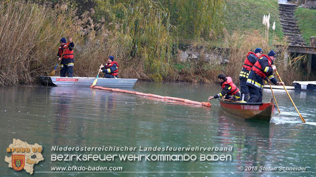 20181120 Kleiner Gewsserschaden auf Teich in der Eigenheimsiedlung Mllersdorf/Guntramsdorf  Foto:  Stefan Schneider BFK BADEN